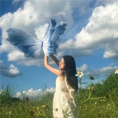机场直击：网红圈偷税漏税，前后半年最新进展